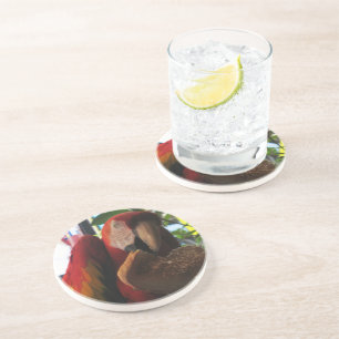 Scarlet Macaw Parrot Eating Toast Sandstein Untersetzer