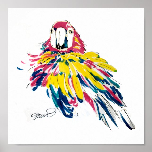 Scarlet Macaw Poster (Vorne)