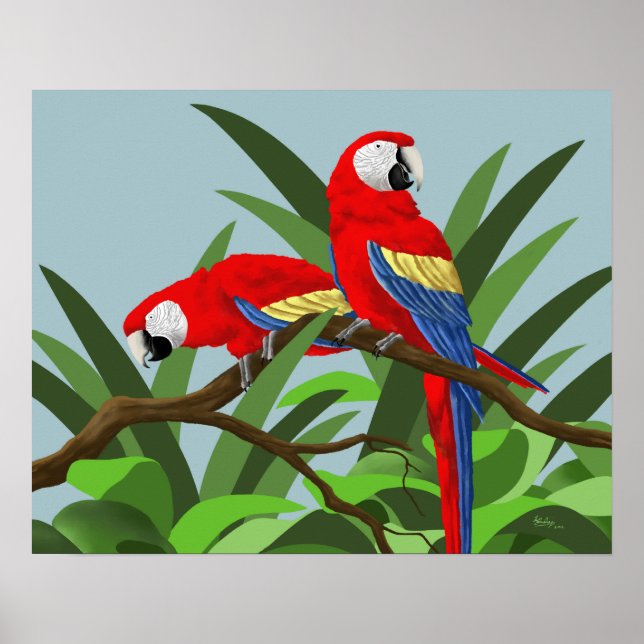 Scarlet Macaw Poster (Vorne)