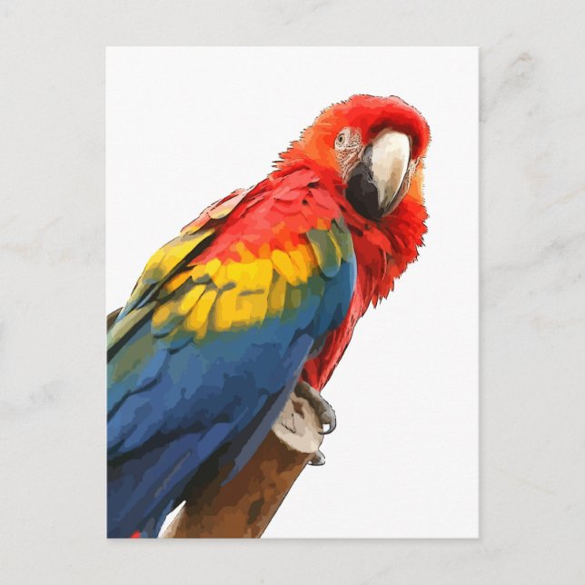 Scarlet Macaw Postkarte (Vorderseite)
