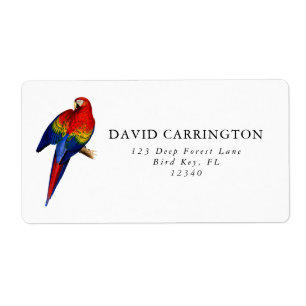 Scarlet Macaw tropischen farbenfrohen Regenwald Bi