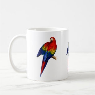 Scarlet Macaw tropischen farbenfrohen Regenwald Bi Kaffeetasse