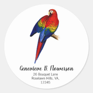 Scarlet Macaw tropischen farbenfrohen Regenwald Bi Runder Aufkleber