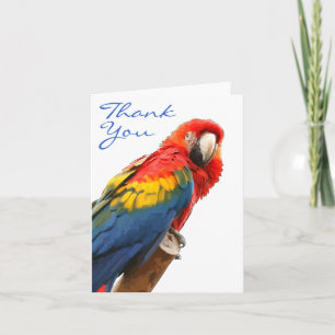 Scarlet Macaw Vielen Dank Note Card Dankeskarte