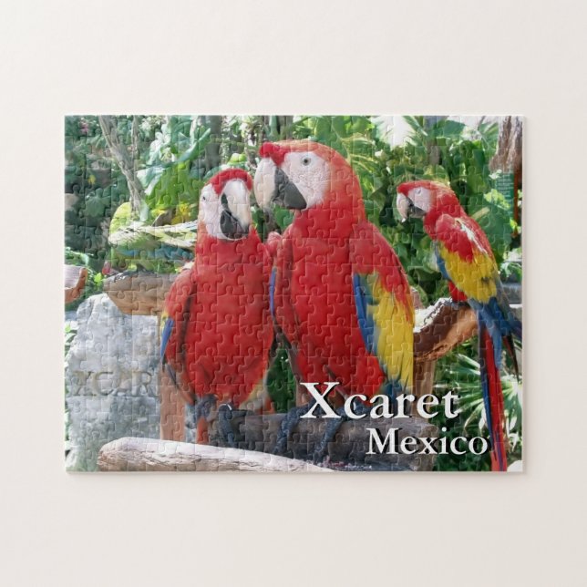 Scarlet Macaws Puzzle (Horizontal)