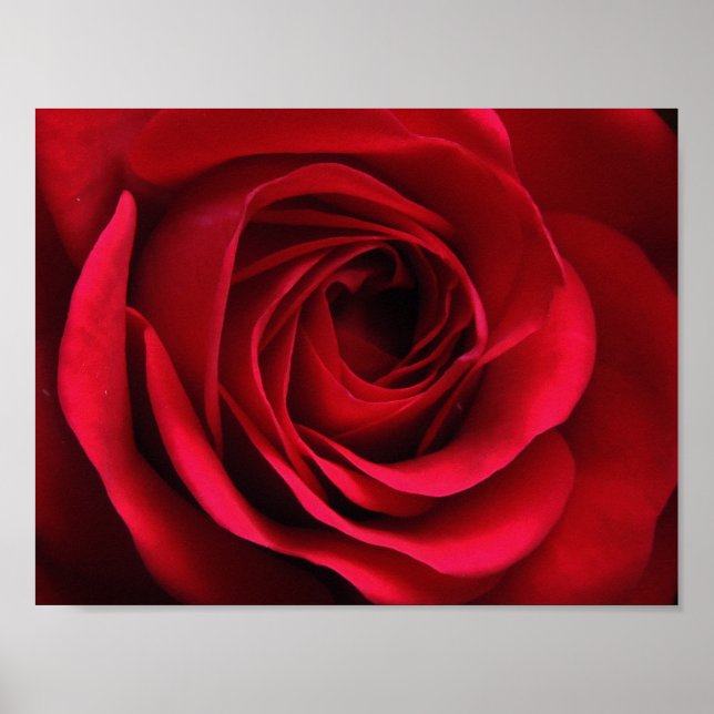 Scarlet Matte Poster (Vorne)