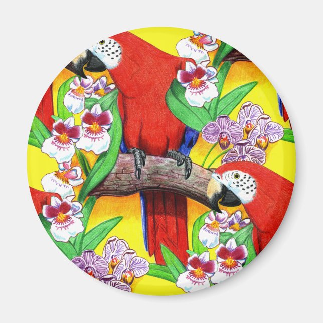 Scarlet McCaw Magnet (Vorne)