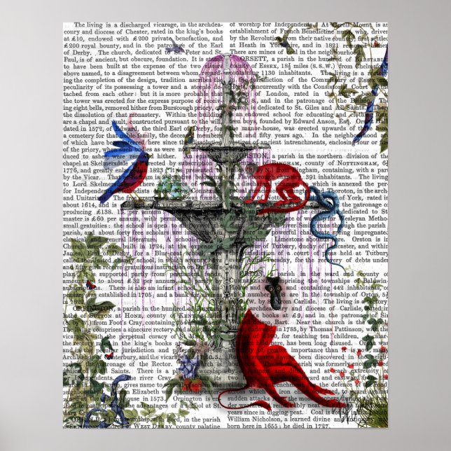 Scarlet Monkey Poster (Vorne)