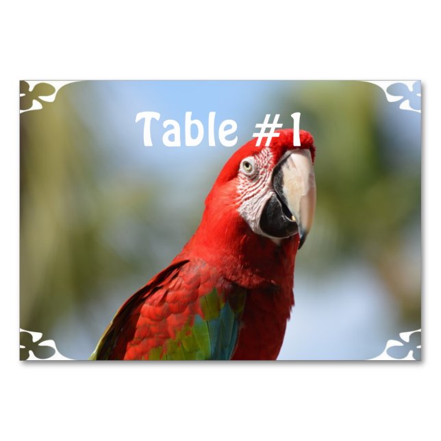 Scarlet Red Macaw Tischnummer (Vorderseite)