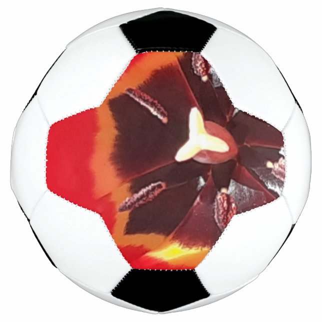 Scarlet Red Tulip Fußball (Vorderseite)
