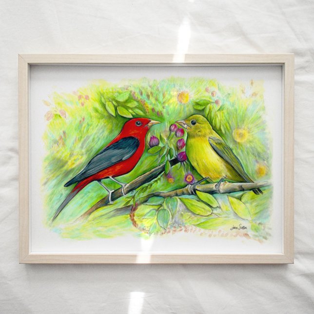 Scarlet Tanager Birds Aquarell Kunst, Dichtung und Poster (Von Creator hochgeladen)