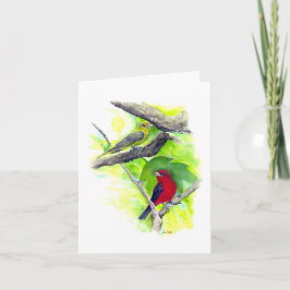 Scarlet Tanager Couple Note Card