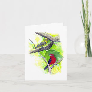 Scarlet Tanager Couple Note Card
