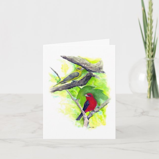 Scarlet Tanager Couple Note Card (Scarlet Tanager Couple Blank Note Cards from Jenn Steffen Art)