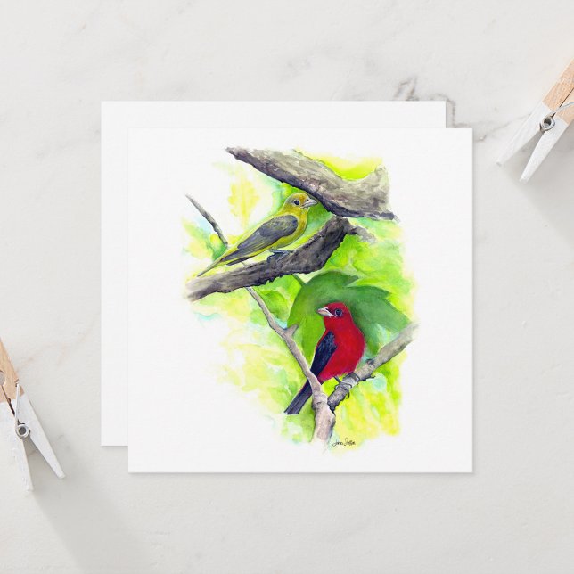 Scarlet Tanager Couple Note Card (Scarlet Tanager Couple In Tree Watercolor Square Blank Note Cards from Jenn Steffen Art)
