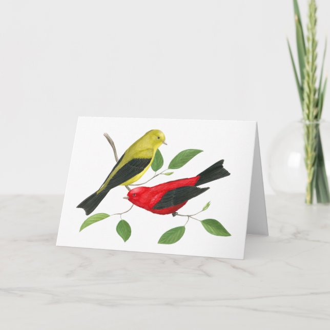 Scarlet Tanager Kunstmuseum Locarno Karte (Vorderseite)
