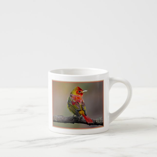 Scarlet Tanager Molting - Original Foto Espressotasse (Rechts)
