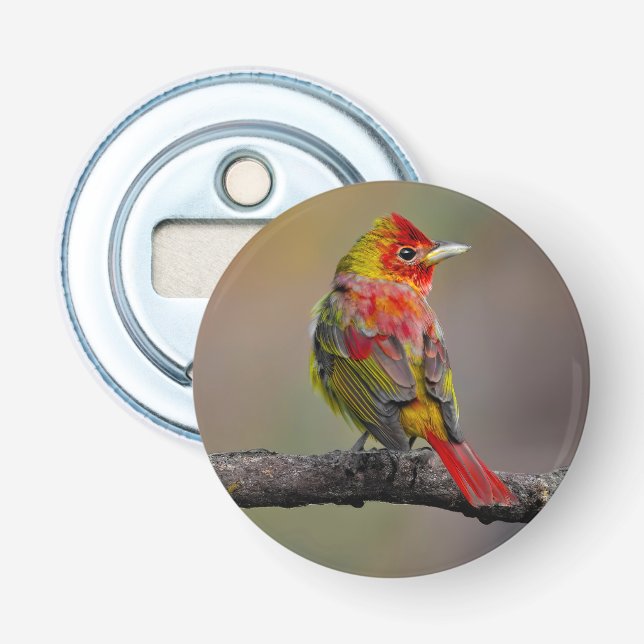 Scarlet Tanager Molting - Original Foto Flaschenöffner (Vorderseite)