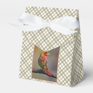 Scarlet Tanager Molting - Original Foto Geschenkschachtel