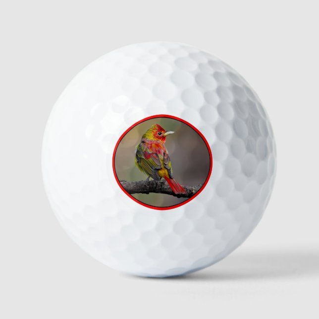 Scarlet Tanager Molting - Original Foto Golfball (Vorderseite)
