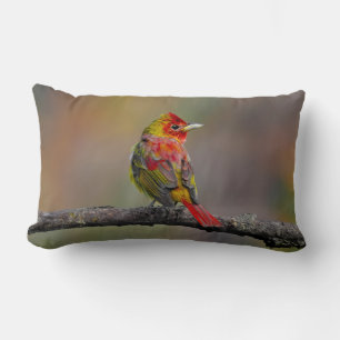 Scarlet Tanager Molting - Original Foto Lendenkissen