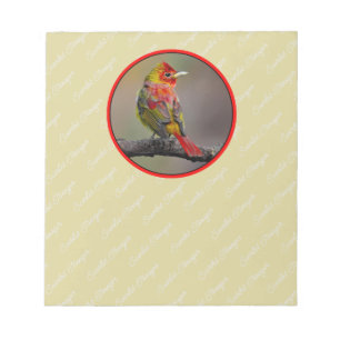 Scarlet Tanager Molting - Original Foto Notizblock