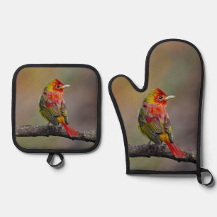 Scarlet Tanager Molting Original Foto Ofenhandschuh & Topflappen-Set