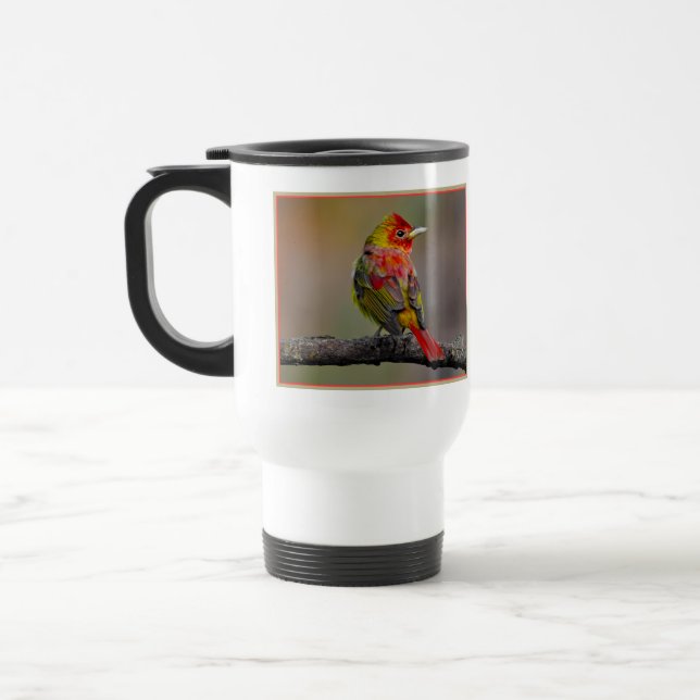 Scarlet Tanager Molting - Original Foto Reisebecher (Links)