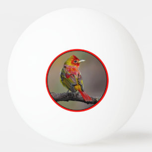 Scarlet Tanager Molting - Original Foto Tischtennisball