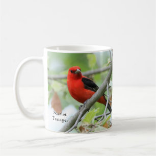 Scarlet Tanager Tasse von BirdingCollectibles
