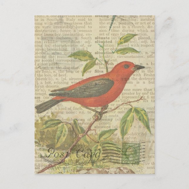 Scarlet Tanager Vintag Bird Birdcage Dragonfly Postkarte (Vorderseite)