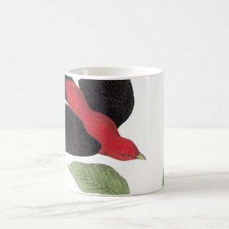 Scarlet Tanager von Audubon Kaffeetasse