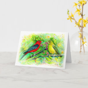 Scarlet Tanagers Aquarell Happy Birthday Karte