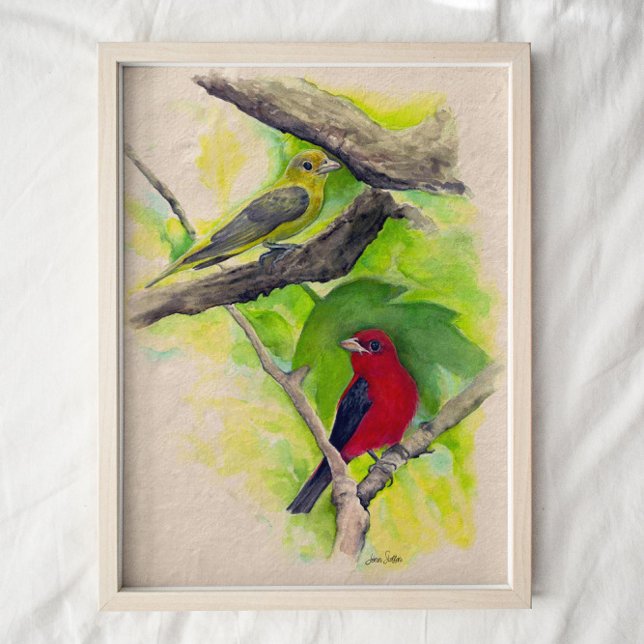 Scarlet Tanagers Vögel Aquarell Kunst drucken Poster (Von Creator hochgeladen)