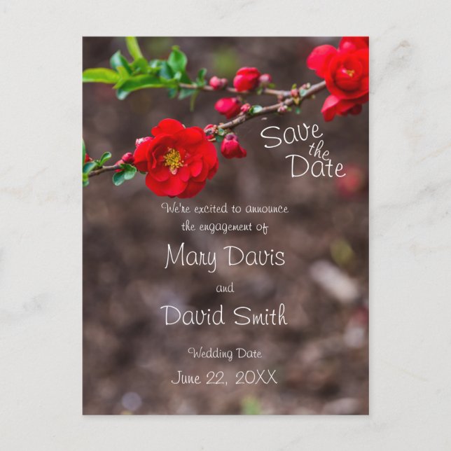 Scarlet Top Wedding Postkarte (Vorderseite)