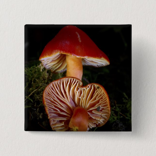Scarlet Waxcap Pilze Button (Vorderseite)