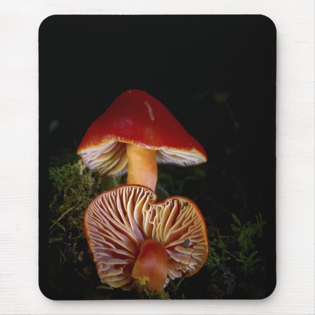 Scarlet Waxcap Pilze Mousepad (Vorne)