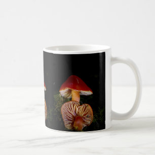 Scarlet Waxcap Pilze Tasse