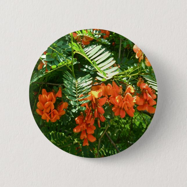 Scarlet Wisteria (Sesbania punicea) OBX Button (Vorderseite)
