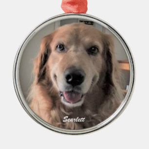 Scarlett Golden Retriever Rund Ornament, Final Ornament Aus Metall
