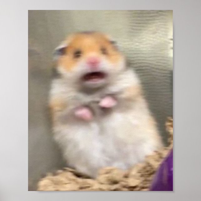 Scarred Hamster Poster (Vorne)