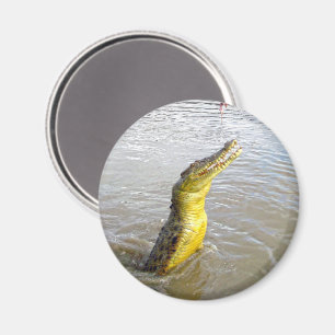Scary Snappers: Der Sprung des Krokodils, Magnet