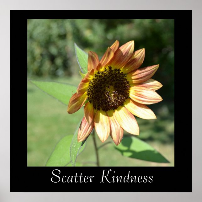 Scatter Kindness Sunflower Poster (Vorne)
