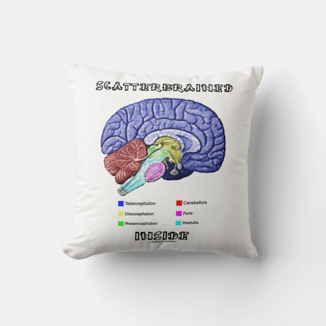 Scatterbran Inside Brain Geek Spaß Kissen (Vorderseite)