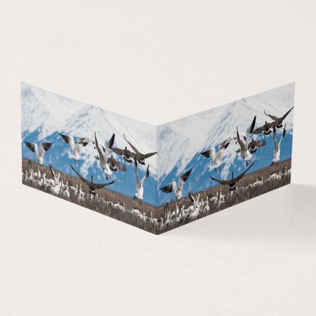 Scattering Geese (Vorderseite)