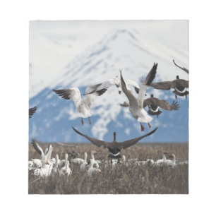 Scattering Geese Notizblock