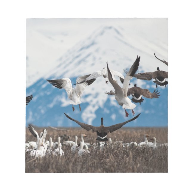 Scattering Geese Notizblock (Vorderseite)
