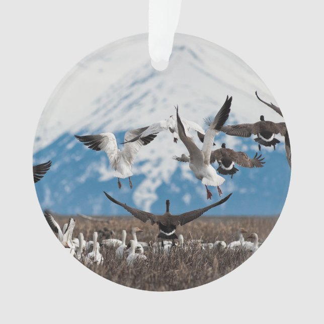 Scattering Geese Ornament (Vorderseite)