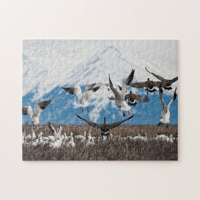 Scattering Geese Puzzle (Horizontal)