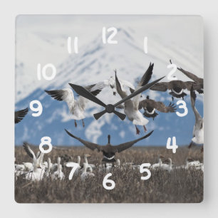 Scattering Geese Quadratische Wanduhr